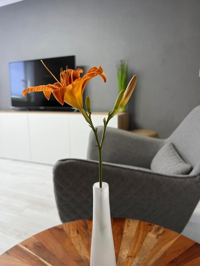 Stay!apart Gieckau Apartment Naumburg (Saale)
